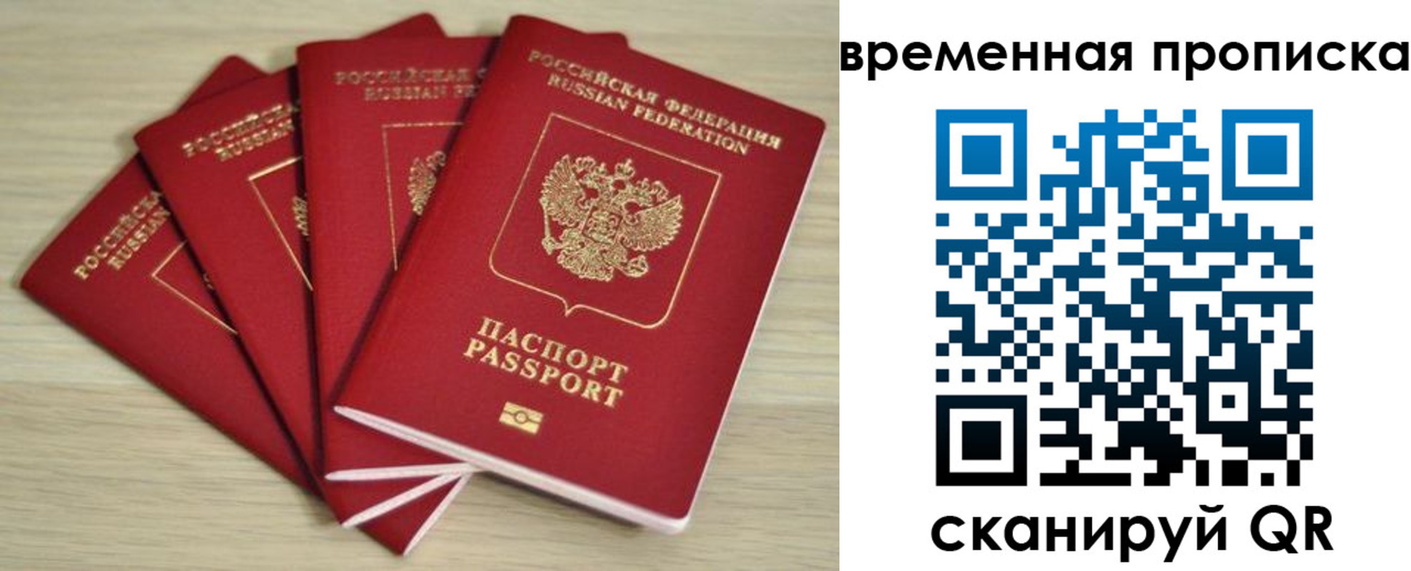 прописка для школы в Ряжске